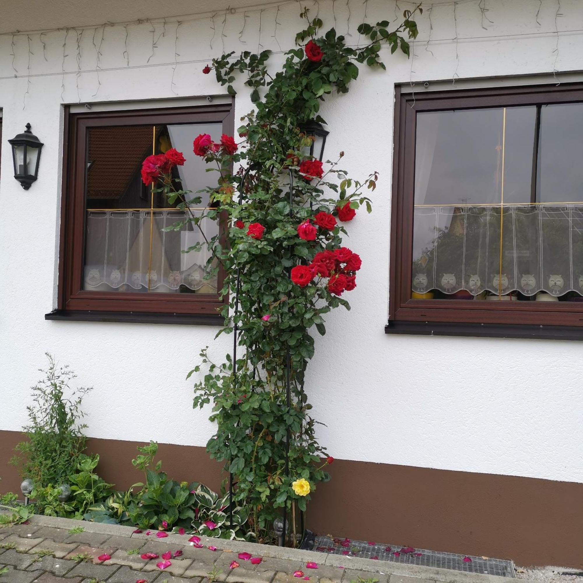 Frankenstube-Winkelhaid Exterior foto